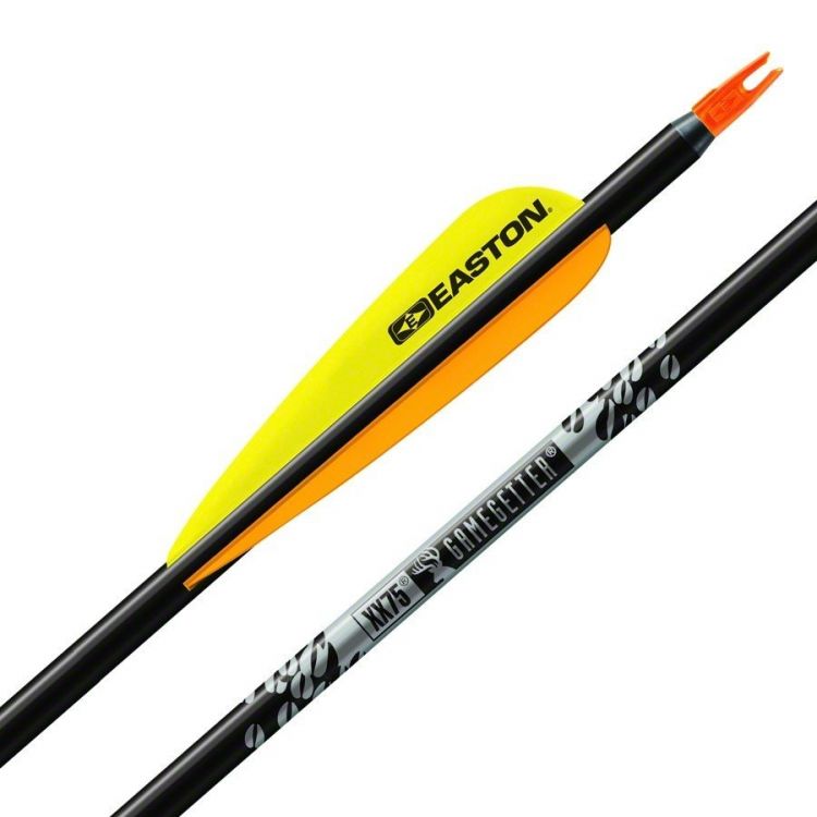 Top 5 Best Arrows For Compound Bows You Can't Miss In 2021