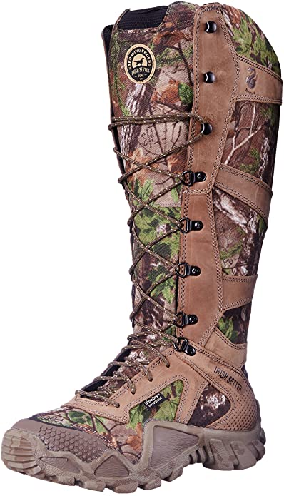 irish setter 2875