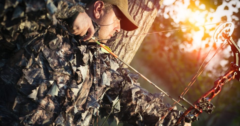 Bowhunting: Why You Should Hunt with A Bow