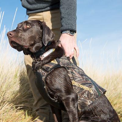 Top reasons your hunting dog needs to wear a vest