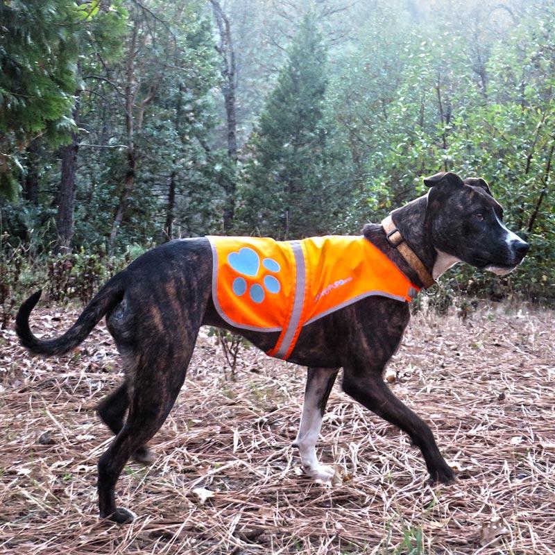 SafetyPUP XD Reflective vest