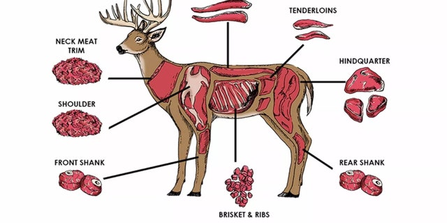  Combien de viande d'un cerf