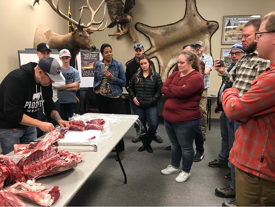  Combien de Viande d'Un Cerf?