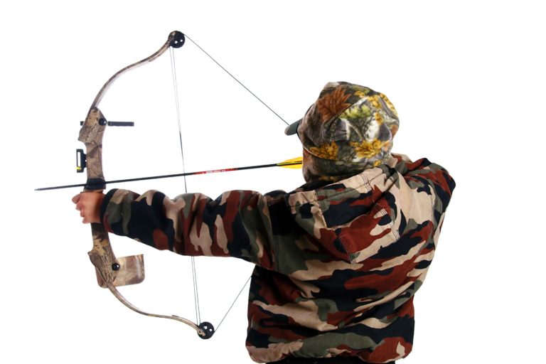 what-can-you-hunt-with-a-bow-as-a-beginner-hunter-experts