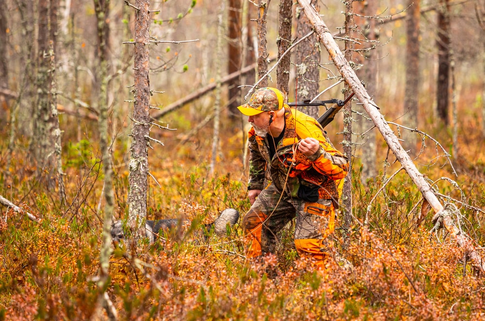 Key Characteristics Of Your Hunting Game