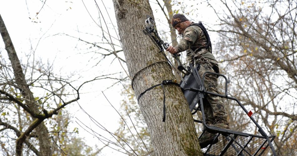 what is one advantage of hunting from an elevated stand?