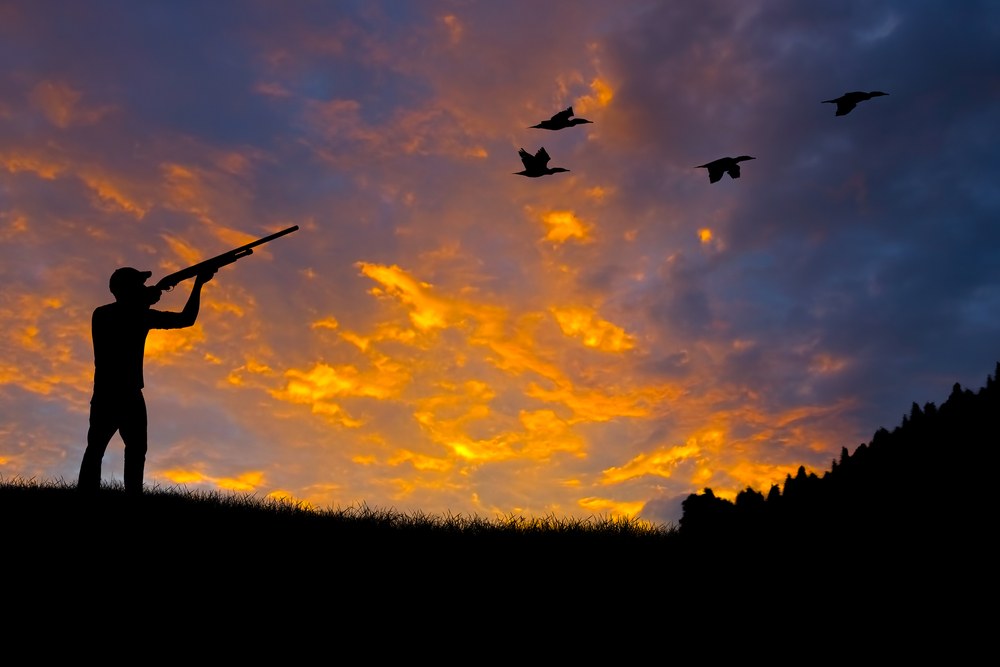 What To Wear Dove Hunting Essential Wearable Gear